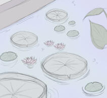 Lily Pond 2024